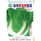 广州阳兴 全年意大利生菜种子 耐热 耐寒 耐抽苔 生菜种子 10克装