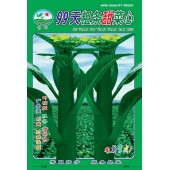 广州阳兴 99天粗条甜菜心种子 晚熟品种 苔粗油绿 甜菜心种子 30克装