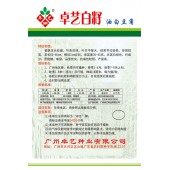 广州卓艺 白籽油白豆角种子 小籽 丰产 抗病 商品率高 豆角种子 200克装