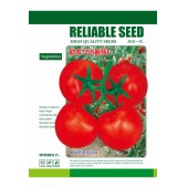广州阳兴 助农168番茄种子 无限生长型 果色鲜红 耐贮运 番茄种子 1000粒装