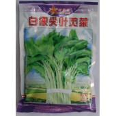 广州绿友 白梗尖叶苋菜种子 出口菜场品种 抗逆性强 菜味好 苋菜种子 400克