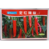 广东广良公司 定红辣椒种子 长约11-13厘米左右 转色快  辣椒种子 5克装
