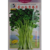 广州长和 黄心白骨香芹种子 中熟 抗热 耐湿 耐寒 亩产高达2500公斤左右 香芹种子 20克装
