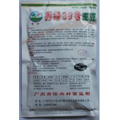 广州阳兴 秀绿38号玉豆 黑籽玉豆种子 抗性强 早熟品种 广州阳兴出品 玉豆种子 400克装