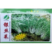 广州科田 银丝菜种子 日本引进新型绿叶蔬菜 风味清甜 纤维少 银丝菜种子 50克装