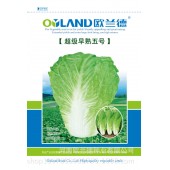 河南欧兰德 超级早熟5号白菜种子 耐热耐湿 生长速度快 白菜种子 14克装