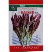 北京华蔬种业 极品红油麦种子 抗病性强 叶片绿色间紫色 独特新品种 油麦种子 5克装