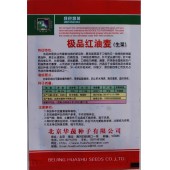 北京华蔬种业 极品红油麦种子 抗病性强 叶片绿色间紫色 独特新品种 油麦种子 5克装