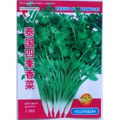 泰国四季香菜种子 叶色青绿 抗病力强 适应性广 香菜种子 15克装