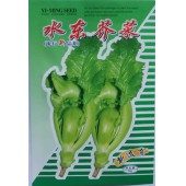 阳春农资 水东芥菜种子 株型矮壮 茎多叶少 纤维少 芥菜种子 10克装
