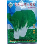 深圳范记 香港赤叶小白菜种子 该品种菜骨偏型 色雪白 是夏季及反季节蔬菜的白菜品种 白菜种子 250克装