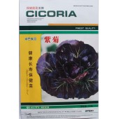 紫菊种子 降血脂降低胆固醇 防癌保健 含多种维生素 紫菊种子 300粒