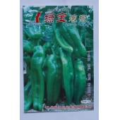 广州世茂 绿宝泡椒种子 大果型 果色翠绿 抗病力强 辣椒种子 10克装