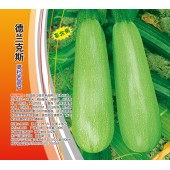 广州鹏洁 德兰克斯高档西葫芦种子 极早熟 瓜长22-24厘米 抗病好 西葫芦种子 500粒装