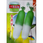 香港惟勤 青森萝卜种子 春露地、高冷地夏季栽培 青头颜色深 萝卜种子 10克装