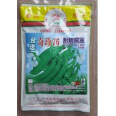 广州广联 台选奇珍76甜脆豌豆种子 产量高 荚圆...