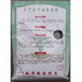江门利隆种苗 高产尖叶油麦生菜种子 耐寒耐热耐湿 产量高 生长快速 生菜种子 250克