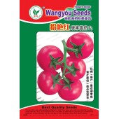 广州旺优 粉艳红硬果番茄种子  航天技术选育 抗病高产 果色粉红 番茄种子 1000粒