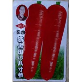 广西冯子龙 日本新黑田八寸参胡萝卜种子 中早熟 耐热 胡萝卜种子 15克装