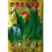 广州阳兴 四季高产油唛种子 广州全年可种植 播种至初收40-60天 油唛种子 10克装