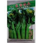 广州阳兴 东莞坡头50天油青甜菜心种子 中熟 播种至初收30天 商品性好 菜心种子 30克装