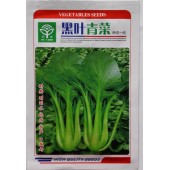 广州科田 黑叶青菜种子 株型矮壮 翠绿色 产量高 青菜种子 10克装