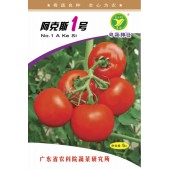 广东粤蔬 阿克斯一号番茄种子 广东农科院选育 硬实耐贮运 亩产可达5000公斤 番茄种子 5克装