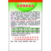 广东粤蔬 红箭樱桃番茄种子 广东农科院选育  每株可采果300个以上 1-2月,7-8月播 番茄种子 0.2克装