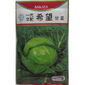 日本SAKATA 一代交配希望甘蓝种子 极早熟 色泽绿 裂球晚 甘蓝种子 10克装