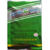 广州阳兴 超级全能无筋架豆王种子 抗病性强 亩产可达1万多斤 豆角种子 200克装