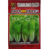 深圳喜良 韩国早熟868甜脆快菜种子 耐热耐湿 生长速度快 快菜种子 15克装