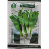 江门新丰种业 早熟白菜苔种子 早熟 菜味甜 大受欢迎品种 白菜苔种子15克装
