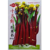 广西子龙 十月鲜红菜苔种子 早熟 产量高 红菜苔种子20克装