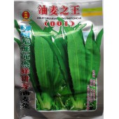 沈阳米高梅 柳州无斑抗热鲜甜香油麦菜种子 早熟 生长速度快 产量高 油麦菜种子 70克装