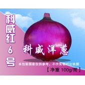 四川科威 红6号洋葱种子 早熟 红皮 耐寒耐热 产量高 洋葱种子 100克装