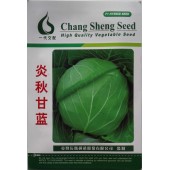 台湾长胜 炎秋甘蓝种子 早熟 单球重1.5-2.0公斤 耐热抗病 市场畅销 甘蓝种子 10克装