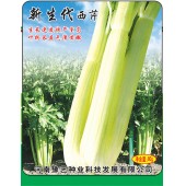 河南豫艺 新生代西芹种子 台湾进口 生长速度快 产量高 叶柄长且色泽黄嫩 西芹种子 80克装