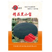 河南豫艺 精品黑小宝黑美人西瓜种子 果形更好 品质更佳 创新型黑美人西瓜 西瓜种子 300粒装