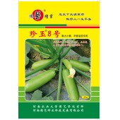 河南豫艺 珍玉8高档早熟西葫芦种子 连续做瓜能力强 颜色特漂亮 西葫芦种子 100克装