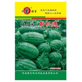 河南豫艺 精品特大新机遇西瓜种子 瓜形大 抗性强 品质特佳 西瓜种子 50克装