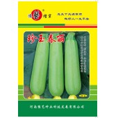河南豫艺 珍玉春丽西葫芦种子 瓜色亮绿 长约23厘米 粗约6厘米 西葫芦种子 100克装