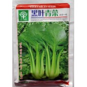 广州科田 黑叶青菜种子 外观极好 翠绿色 抗病产量高 青菜种子 200克装
