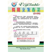 揭阳农友 立发春菜种子 生长快 产量高 适应性广 春菜种子 400克装