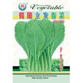 揭阳农友 立发春菜种子 生长快 产量高 适应性广 春菜种子 400克装