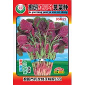 揭阳农友 红圆叶苋菜种子  耐热耐湿 生长快速 抗病 苋菜种子 500克装