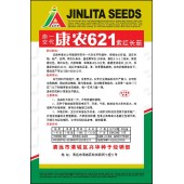 清远兴华 康龙621紫红长茄种子 早熟 高产抗病 果长35厘米 茄子种子 5克装