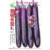 清远清蔬 紫钻长茄种子 耐热抗病 颜色紫红光亮 ...