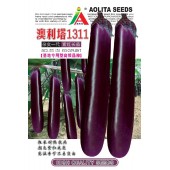 清远兴华 澳利塔1311杂交一代紫红长茄种子 基地专用高档品种 粗长耐热抗病 长茄种子 5克装