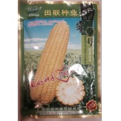 广州田联 田蜜二号超甜玉米种子  糖份含量高 果皮较薄 抗病性强 玉米种子 200克装