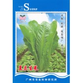 广州乾农 市农科院 直立生菜种子 也叫罗马生菜 耐热 抗病 早熟 生菜种子 罗马生菜种子 10克装